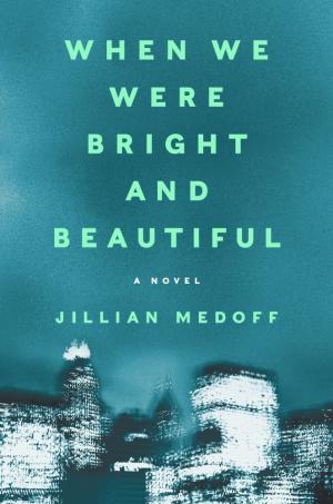 [EPUB] When We Were Bright And Beautiful by Jillian Medoff