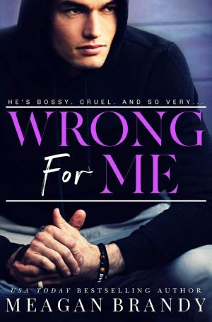[EPUB] Wrong For Me by Meagan Brandy
