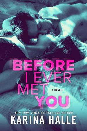 [EPUB] Before I Ever Met You by Karina Halle