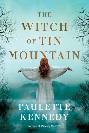 [EPUB] The Witch of Tin Mountain by Paulette Kennedy