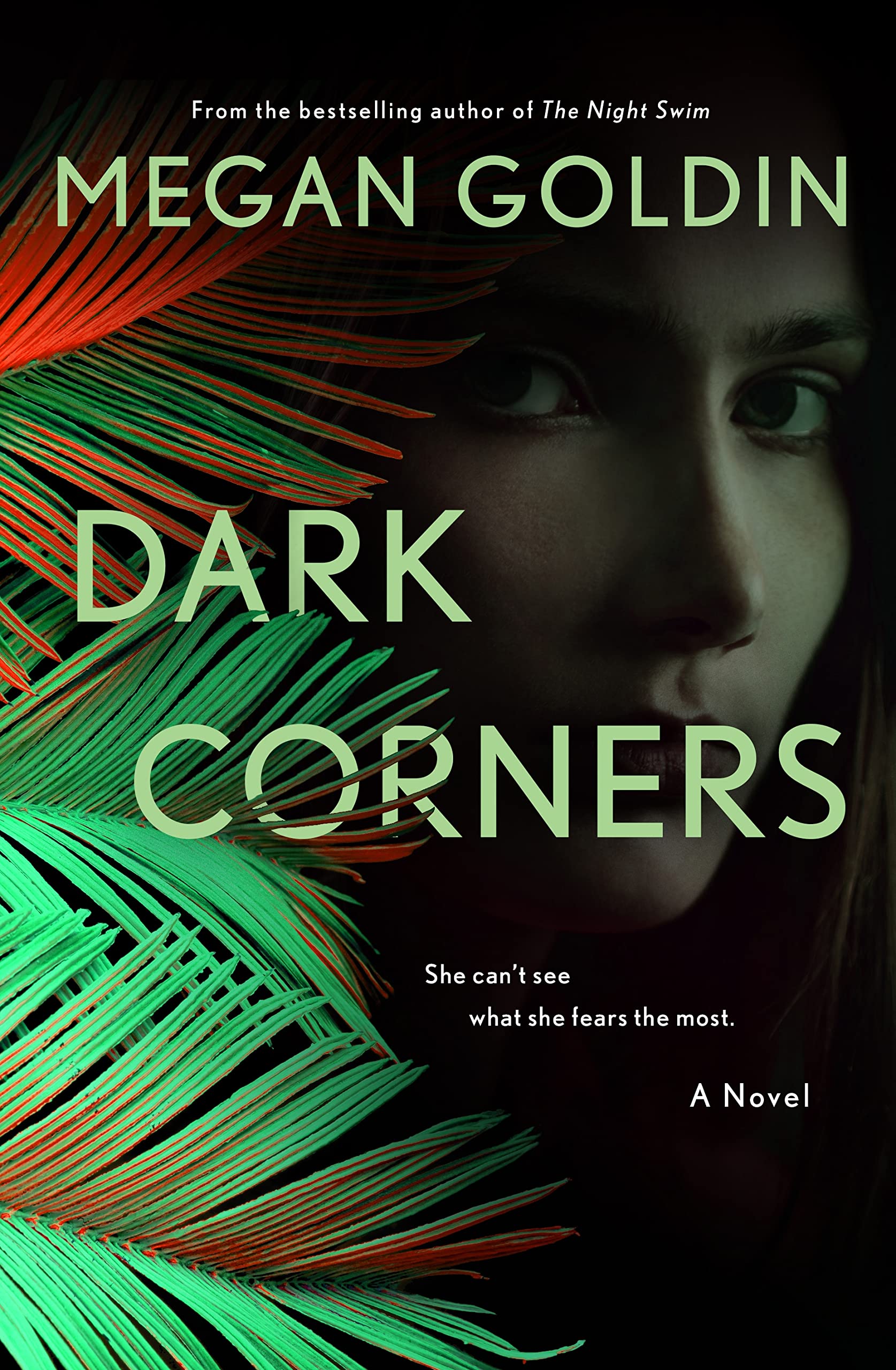 [EPUB] Rachel Krall #2 Dark Corners by Megan Goldin