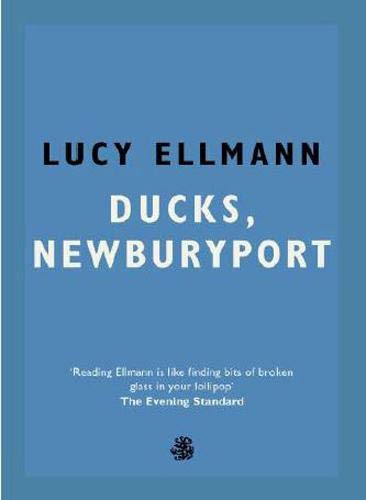 [EPUB] Ducks, Newburyport by Lucy Ellmann