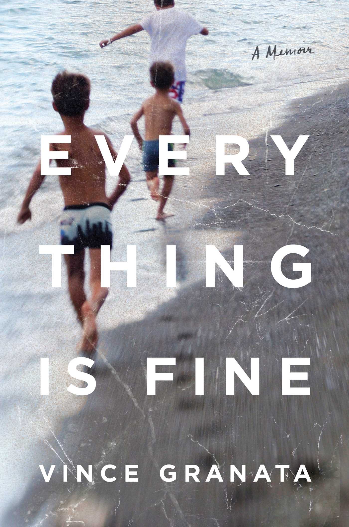 [EPUB] Everything Is Fine by Vince Granata