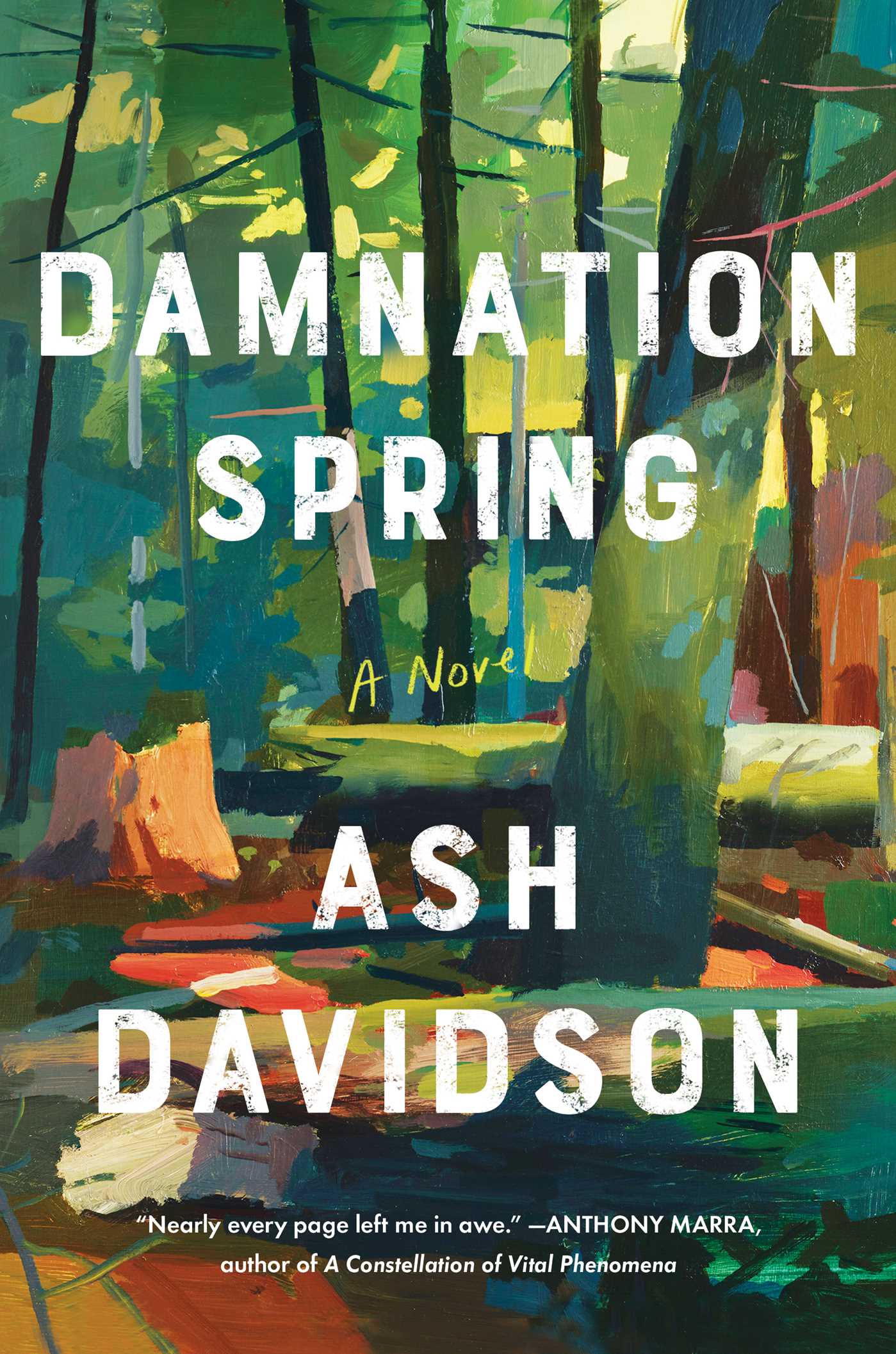 [EPUB] Damnation Spring by Ash Davidson
