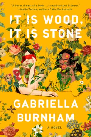 [EPUB] It Is Wood, It Is Stone by Gabriella Burnham