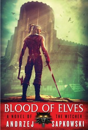 [EPUB] The Witcher #1 Blood of Elves by Andrzej Sapkowski ,  Danusia Stok  (Translator)