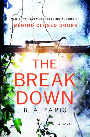 [EPUB] The Breakdown by B.A. Paris