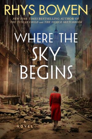 [EPUB] Where the Sky Begins by Rhys Bowen