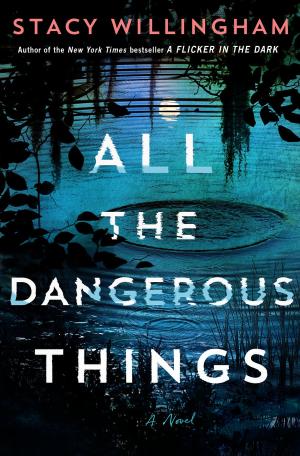 [EPUB] All the Dangerous Things by Stacy Willingham