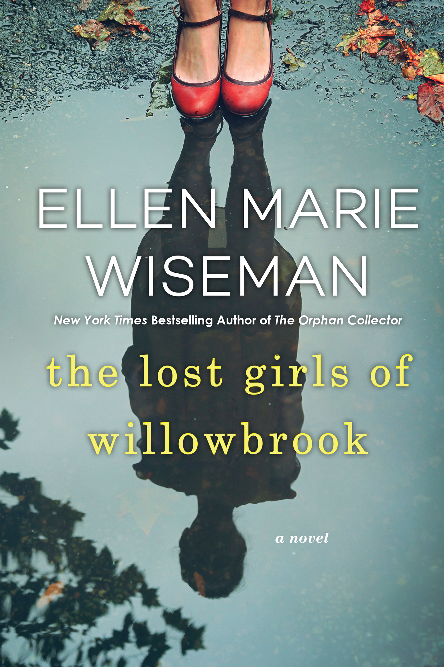 [EPUB] The Lost Girls of Willowbrook by Ellen Marie Wiseman