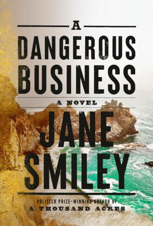 [EPUB] A Dangerous Business by Jane Smiley