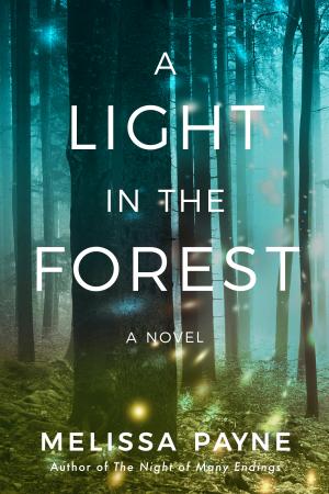 [EPUB] A Light in the Forest by Melissa Payne