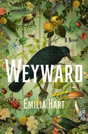 [EPUB] Weyward by Emilia Hart