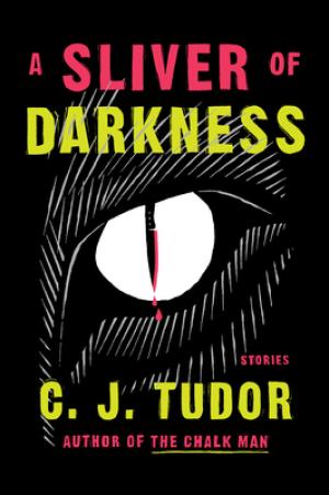 [EPUB] A Sliver of Darkness by C.J. Tudor