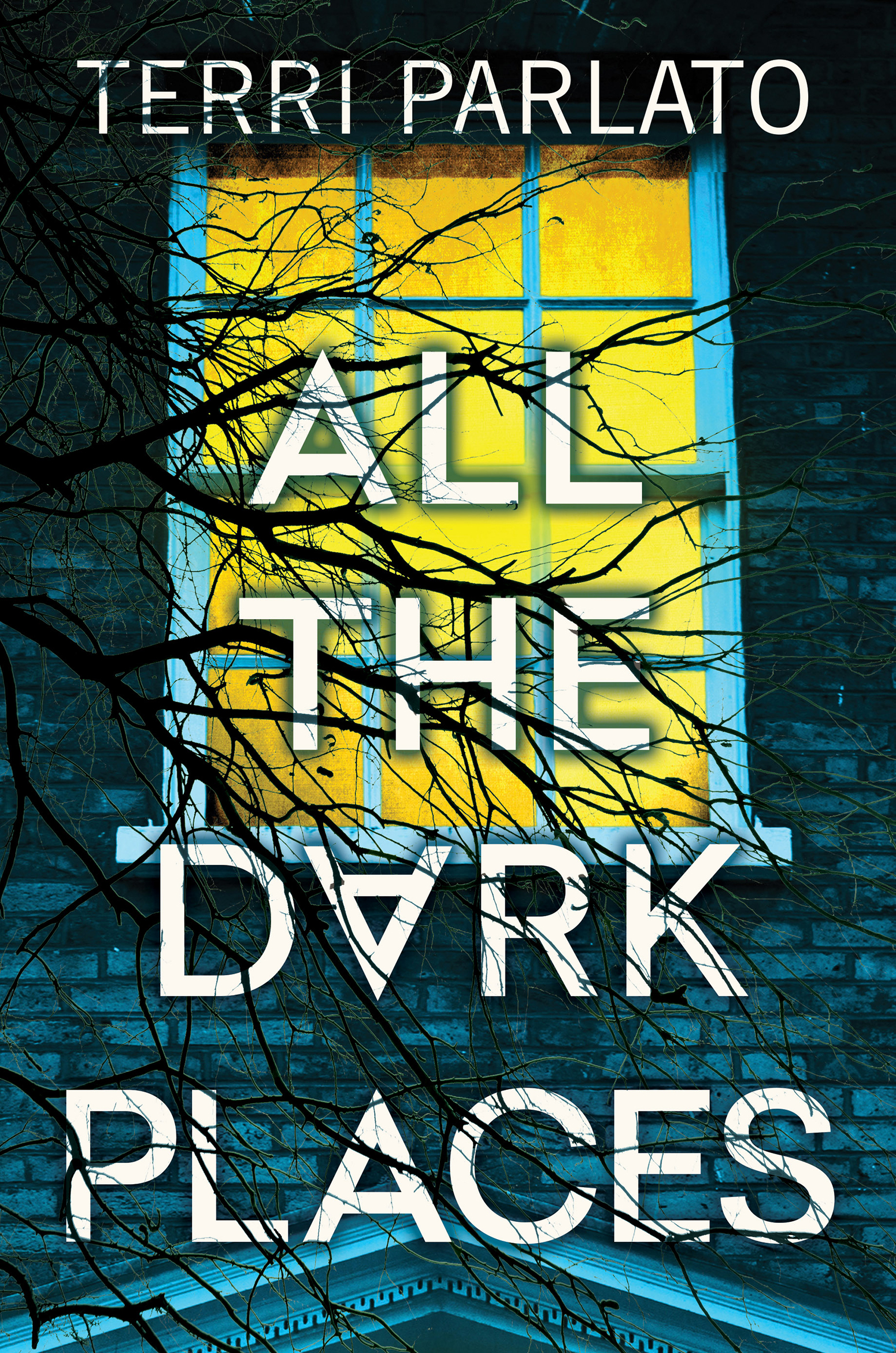 [EPUB] Detective Rita Myers #1 All the Dark Places by Terri Parlato