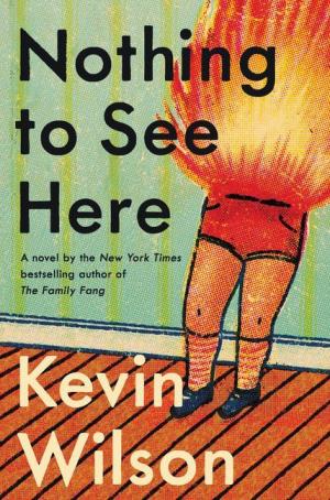 [EPUB] Nothing to See Here by Kevin Wilson