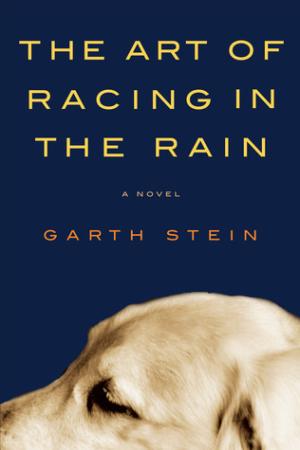 [EPUB] The Art of Racing in the Rain by Garth Stein