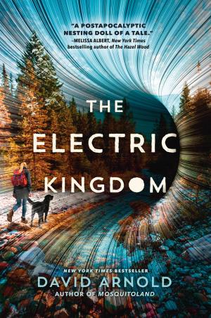 [EPUB] The Electric Kingdom by David Arnold