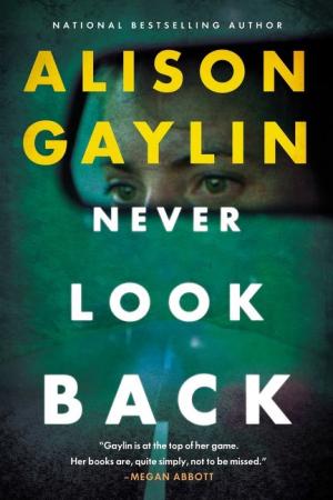 [EPUB] Never Look Back by Alison Gaylin
