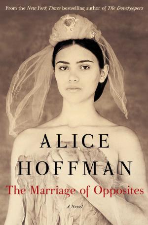 [EPUB] The Marriage of Opposites by  Alice Hoffman