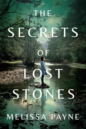 [EPUB] The Secrets of Lost Stones by Melissa Payne