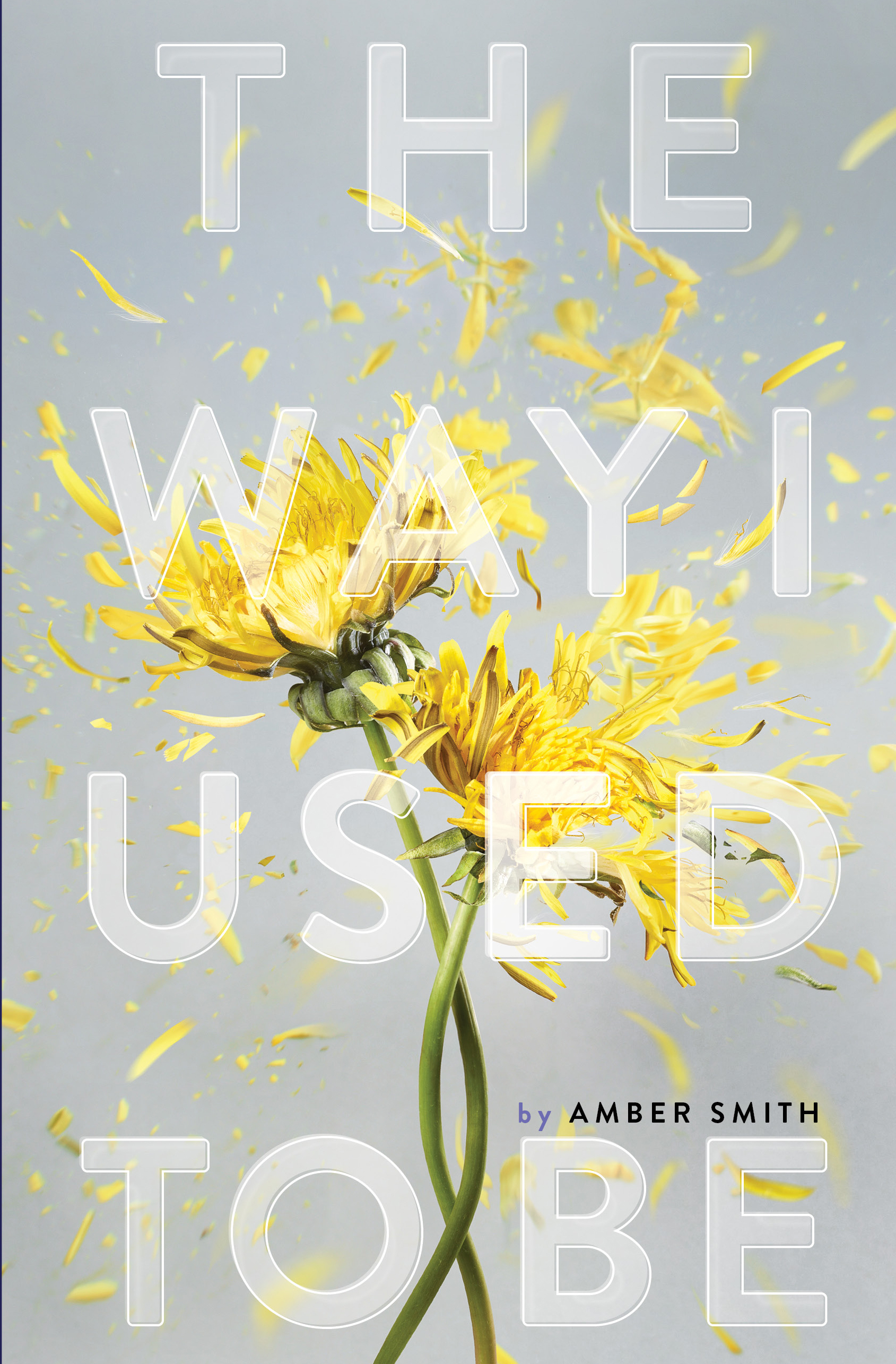 [EPUB] The Way I Used to Be #1 The Way I Used to Be by Amber Smith