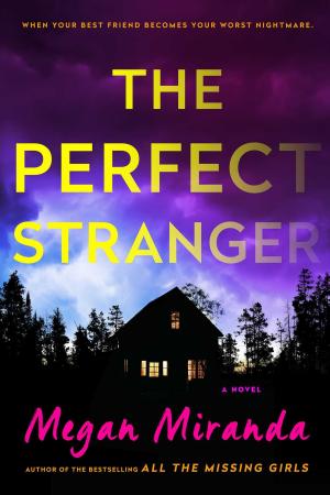 [EPUB] The Perfect Stranger by Megan Miranda