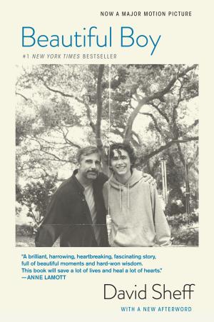 [EPUB] Beautiful Boy: A Father's Journey Through His Son's Addiction by David Sheff