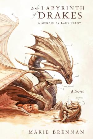 [EPUB] The Memoirs of Lady Trent #4 In the Labyrinth of Drakes by Marie Brennan