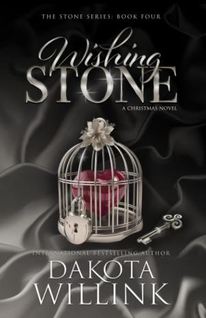 [EPUB] The Stone #4 Wishing Stone by Dakota Willink