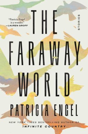 [EPUB] The Faraway World: Stories by Patricia Engel