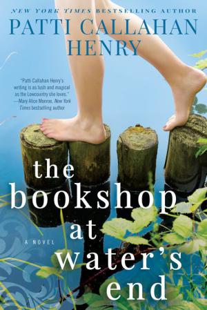 [EPUB] The Bookshop at Water's End by Patti Callahan Henry