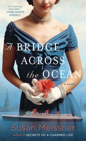 [EPUB] A Bridge Across the Ocean by Susan Meissner