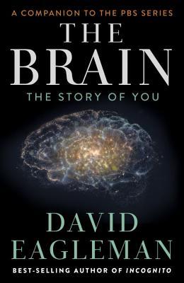 [EPUB] The Brain: The Story of You by David Eagleman