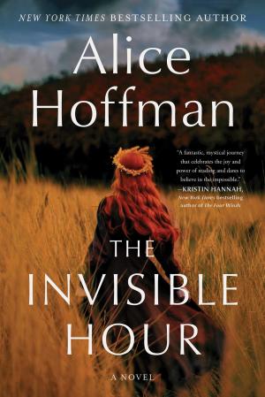 [EPUB] The Invisible Hour by Alice Hoffman